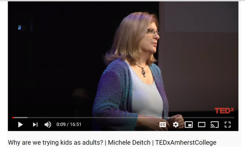 Screenshot of 2015 Ted Talk video featuring Michele Deitch.